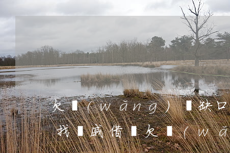 欠網(wǎng)貸缺口2萬(wàn)能找親戚借錢(欠網(wǎng)貸缺口2萬(wàn)能找親戚借錢)