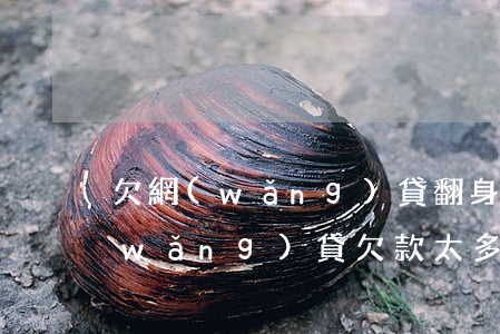 欠網(wǎng)貸翻身大計(jì)(網(wǎng)貸欠款太多如何走出困境)