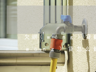 欠網(wǎng)貸翻身案例(欠16萬網(wǎng)貸怎么翻身)