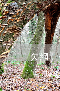 欠網(wǎng)貸翻身路(欠一屁股網(wǎng)貸怎么上岸)
