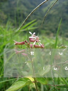 欠網(wǎng)貸老公原諒自己(欠了十幾萬(wàn)網(wǎng)貸老公會(huì)原諒嗎)