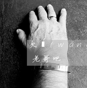 欠網(wǎng)貸老哥(網(wǎng)貸老哥吧)