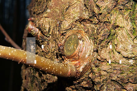 欠網(wǎng)貸老婆和我離婚(老公欠的網(wǎng)貸離婚了我不用承擔(dān)了吧)