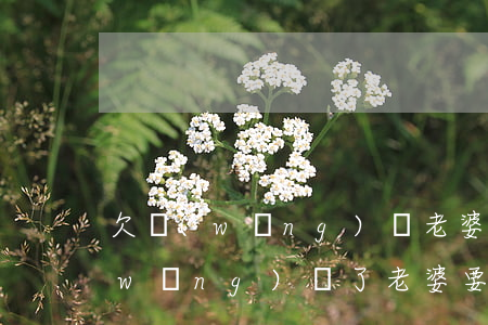 欠網(wǎng)貸老婆知道怎么辦(欠網(wǎng)貸了老婆要離婚怎么挽回)