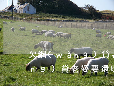 欠網(wǎng)貸老婆要還嗎(欠網(wǎng)貸老婆要還嗎)