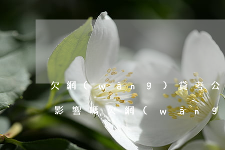 欠網(wǎng)貸考公務(wù)員會受影響嗎(欠網(wǎng)貸對考公務(wù)員有影響嗎)