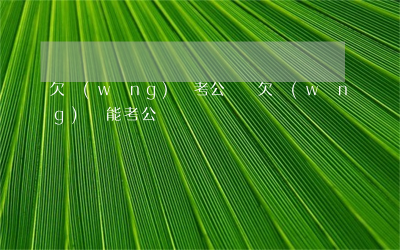 欠網(wǎng)貸考公務員(欠網(wǎng)貸能考公務員嗎)