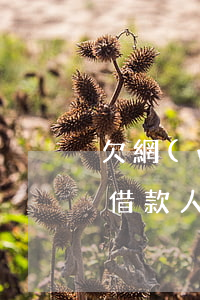 欠網(wǎng)貸聯(lián)系不上借款人(別人欠網(wǎng)貸怎么會(huì)聯(lián)系到我)
