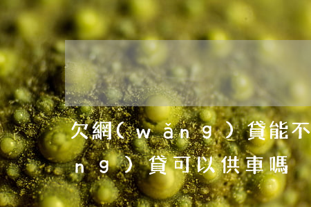欠網(wǎng)貸能不能車貸(欠網(wǎng)貸可以供車嗎)