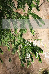 欠網(wǎng)貸能做高鐵嗎(網(wǎng)貸不還能不能坐高鐵)