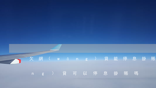 欠網(wǎng)貸能停息掛賬嗎(網(wǎng)貸可以停息掛賬嗎?)