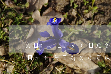 欠網(wǎng)貸能全款買房有關(guān)系嗎(有欠款可以全款買房嗎)