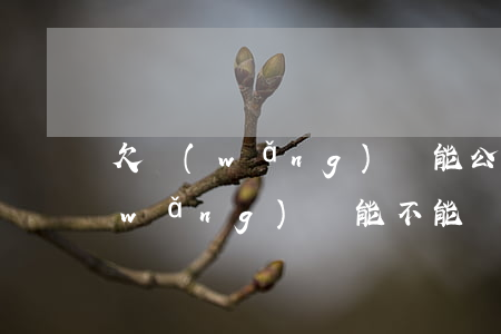 欠網(wǎng)貸能公積金貸款嗎(欠網(wǎng)貸能不能貸款)