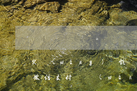 欠網(wǎng)貸能凍結(jié)你的微信支付寶(網(wǎng)貸會(huì)凍結(jié)支付寶微信嗎)