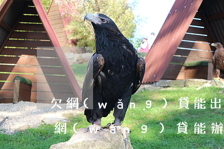 欠網(wǎng)貸能出國(guó)么(欠網(wǎng)貸能辦簽證出國(guó)嗎)