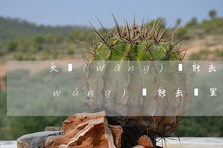 欠網(wǎng)貸能去廠里上班么(欠網(wǎng)貸能去廠里上班么)