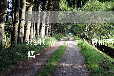 欠網(wǎng)貸能查到我銀行卡里的錢嗎-