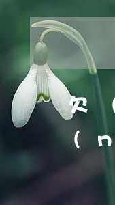 欠網(wǎng)貸能申請(qǐng)農(nóng)村信用社貸款嗎-