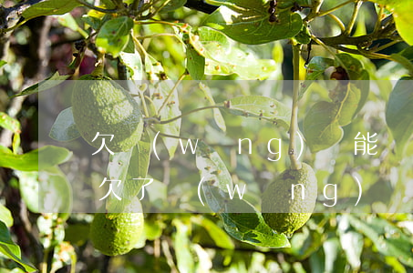 欠網(wǎng)貸能當(dāng)兵不(欠了網(wǎng)貸能去當(dāng)兵嗎)