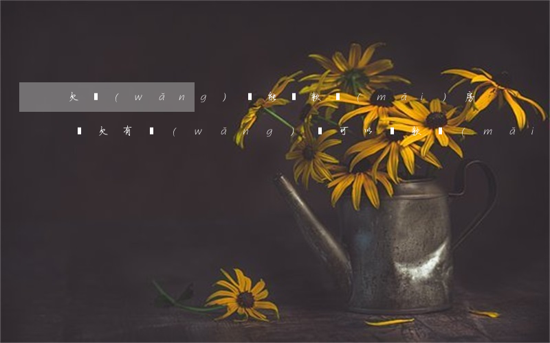 欠網(wǎng)貸 能貸款買(mǎi)房嗎(欠有網(wǎng)貸可以貸款買(mǎi)房嗎)