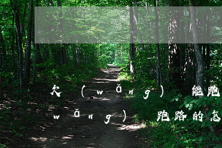 欠網(wǎng)貸能跑路去哪里好(欠網(wǎng)貸跑路的怎么樣了)