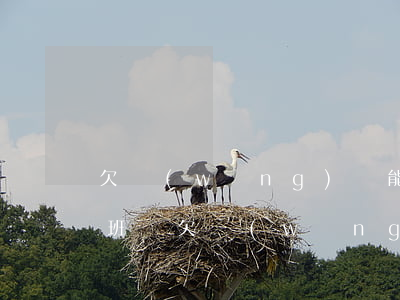 欠網(wǎng)貸能進(jìn)公司上班嗎 欠網(wǎng)貸能找到新的公司嗎