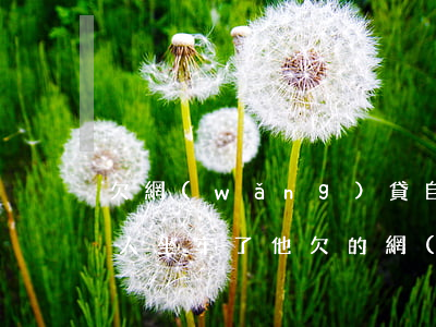 欠網(wǎng)貸自己一個人怎么還(一個人坐牢了,他欠的網(wǎng)貸怎么辦)