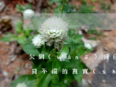 欠網(wǎng)貸自述(欠網(wǎng)貸不還的真實(shí)案例)
