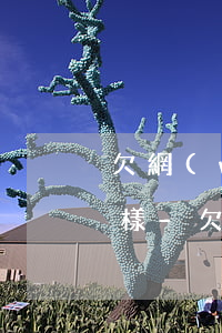 欠網(wǎng)貸螞蟻金服不還款會怎么樣-欠網(wǎng)貸螞蟻金服不還款會怎么樣嗎