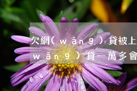欠網(wǎng)貸被上門追債怎么樣(網(wǎng)貸一萬多會不會上門追債)