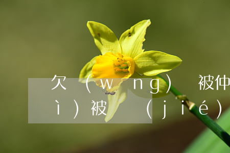 欠網(wǎng)貸被仲裁銀行卡會(huì)被凍結(jié)嘛-