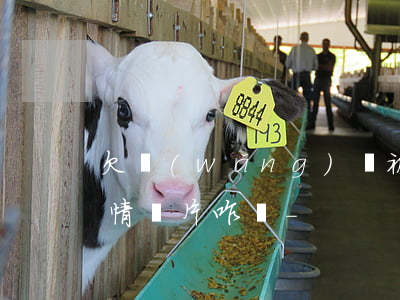 欠網(wǎng)貸被催收群發(fā)色情圖片咋辦-