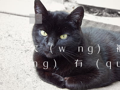 欠網(wǎng)貸被列為失信人(網(wǎng)貸有權(quán)利把債務(wù)人列入失信名單嗎)