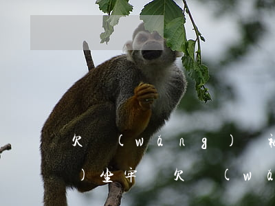 欠網(wǎng)貸被告上法庭會(huì)坐牢嗎(欠網(wǎng)貸被告上法庭會(huì)坐牢嗎)