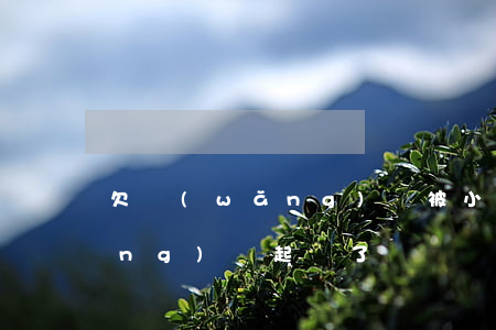 欠網(wǎng)貸被小程序起訴(網(wǎng)貸起訴了)