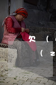 欠網(wǎng)貸被強(qiáng)制執(zhí)行名下沒(méi)有財(cái)產(chǎn)-