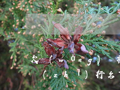 欠網(wǎng)貸被強(qiáng)制執(zhí)行名下沒有財產(chǎn)-