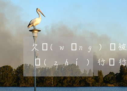欠網(wǎng)貸被強(qiáng)制執(zhí)行銀行卡會(huì)凍結(jié)多久-欠網(wǎng)貸被強(qiáng)制執(zhí)行銀行卡會(huì)凍結(jié)多久解凍