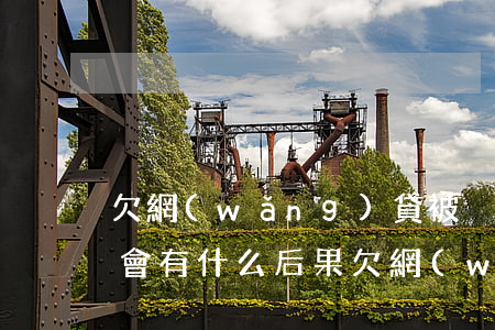 欠網(wǎng)貸被強制執(zhí)行會有什么后果(欠網(wǎng)貸被強制執(zhí)行會有什么后果嘛)