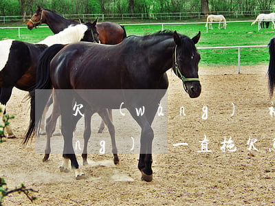 欠網(wǎng)貸被拖走怎么辦(網(wǎng)貸一直拖欠怎么處理)