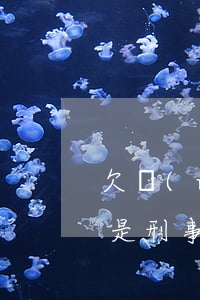 欠網(wǎng)貸被拘留屬于行政處罰還是刑事處罰-欠網(wǎng)貸被拘留屬于行政處罰還是刑事處罰呢