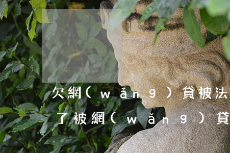 欠網(wǎng)貸被法院凍結(jié)了(被網(wǎng)貸起訴了凍結(jié)財(cái)產(chǎn)了)
