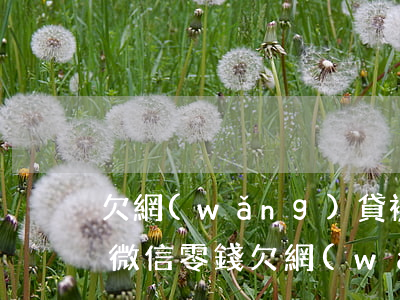 欠網(wǎng)貸被法院凍結(jié)微信零錢(欠網(wǎng)貸錢微信被凍結(jié)了)