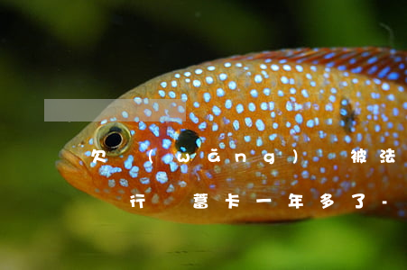 欠網(wǎng)貸被法院凍結(jié)銀行儲蓄卡一年多了-欠網(wǎng)貸被法院凍結(jié)銀行儲蓄卡一年多了還沒解凍