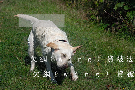 欠網(wǎng)貸被法院判決要怎么還款(欠網(wǎng)貸被判刑出來(lái)還得還嗎)