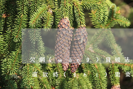 欠網(wǎng)貸被法院執(zhí)行還款時(shí)需要繳納滯納金嗎-欠網(wǎng)貸被法院執(zhí)行還款時(shí)需要繳納滯納金嗎