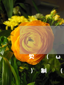 欠網(wǎng)貸被法院強(qiáng)制執(zhí)行(欠網(wǎng)貸被法院強(qiáng)制執(zhí)行會不會牽扯直系親屬財產(chǎn))