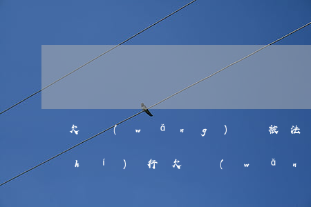 欠網(wǎng)貸被法院怎么強制執(zhí)行(欠網(wǎng)貸多少錢會被法院強制執(zhí)行)