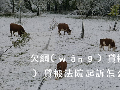 欠網(wǎng)貸被法院(欠網(wǎng)貸被法院起訴怎么辦)