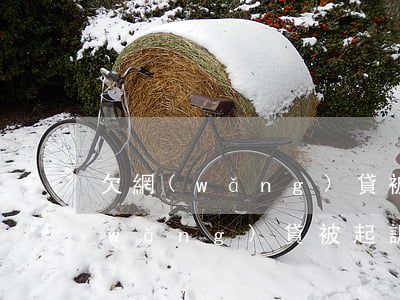 欠網(wǎng)貸被法院起訴流程(欠網(wǎng)貸被起訴后的流程)